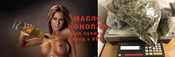 эйфоретик Няндома
