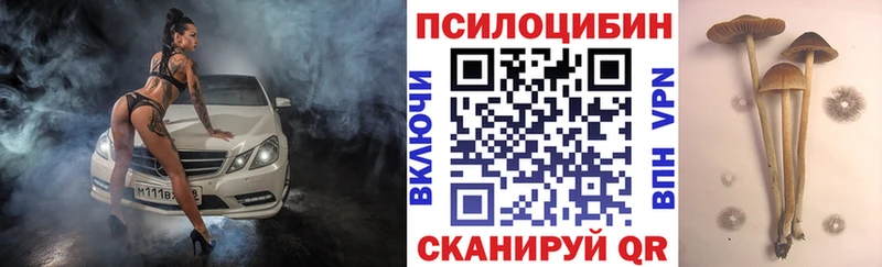 Галлюциногенные грибы Psilocybe  kraken онион  Усть-Илимск  закладки 